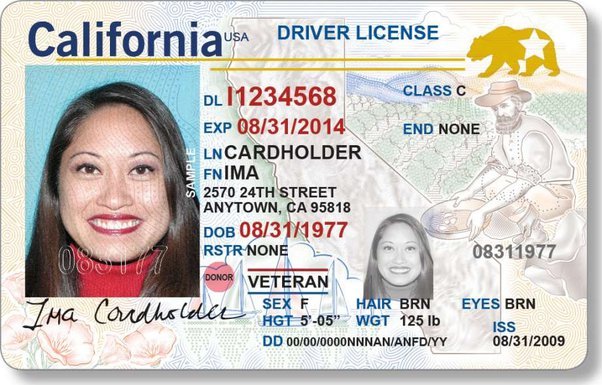Buy Fake Driver’s License Online: Fast and Secure