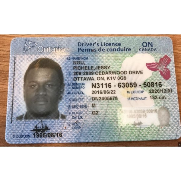 Buy Canadian Driver’s License online