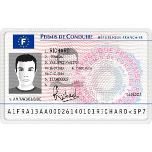 Genuine French Driver's License