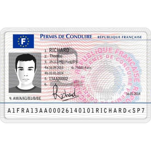 Genuine French Driver's License