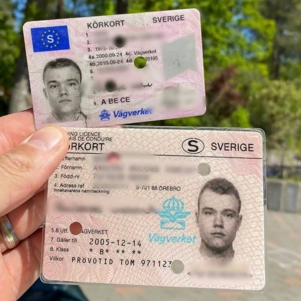 Swedish driving license