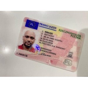 Buy Polish drivers license