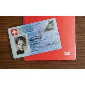 Austrian Driving License Online
